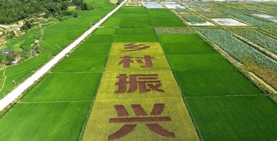 人民日報&ldquo;鄉(xiāng)村振興計劃&rdquo;為何看上他？_直播_行業(yè)_農(nóng)產(chǎn)品